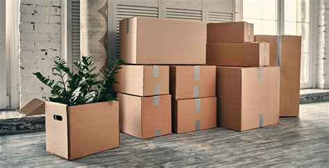 Understanding the Regular Slotted Container (RSC) .